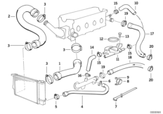 Водяной шланг системы охлаждения для BMW E36 316i M40 (схема запасных частей)