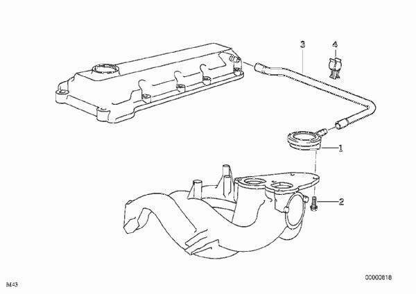 Система вентиляции картера для BMW E36 316i 1.6 M43 (схема запчастей)