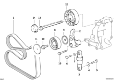 Ременный привод водяной помпы/генератора для BMW E36 316i M43 (схема запасных частей)