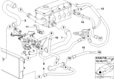 Водяной шланг системы охлаждения для BMW E36 316g M43 (схема запасных частей)