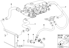 Водяной шланг системы охлаждения для BMW E36 316i 1.9 M43 (схема запасных частей)