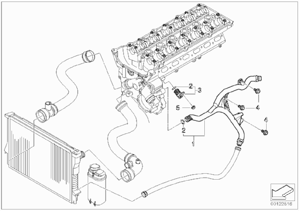 Водяной шланг системы охлаждения для BMW E60 520i M54 (схема запчастей)