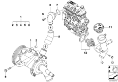 Водяная помпа сист.охлаждения/термостат для BMW R50 Cooper W10 (схема запасных частей)