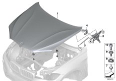 Капот/дополнительные элементы для BMW F16 X6 28iX N20 (схема запасных частей)