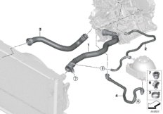 Шланги системы охлаждения для BMW F20N 118i B38 (схема запасных частей)