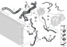 Шланги системы охлаждения для BMW G20 320i 1.6 B48 (схема запасных частей)